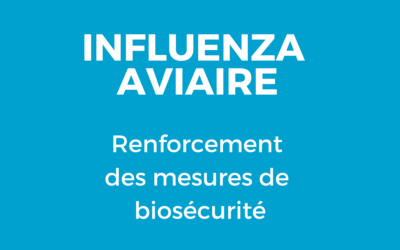 INFORMATIONS GRIPPE AVIAIRE