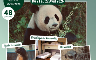 🐾🌿 Séjour découverte au Zoo de Beauval ! 🌿